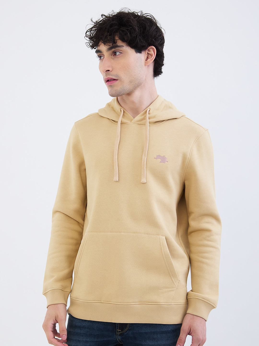 Men Sweatshirt Beige Regular Fit