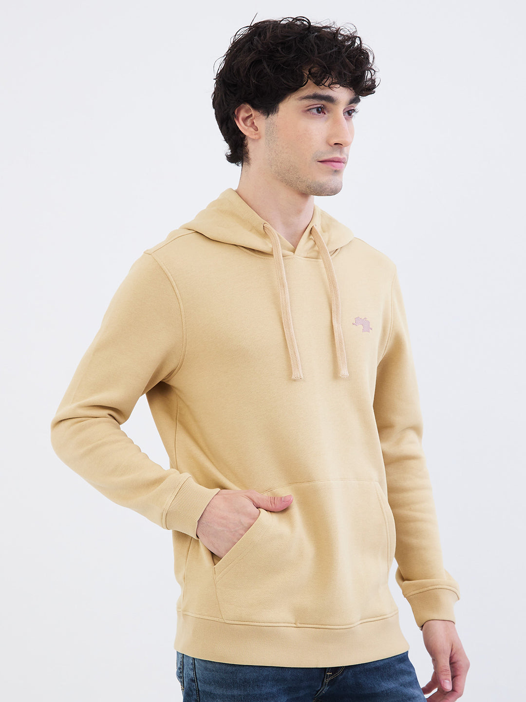 Men Sweatshirt Beige Regular Fit