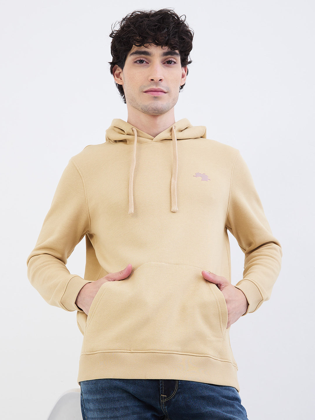 Men Sweatshirt Beige Regular Fit