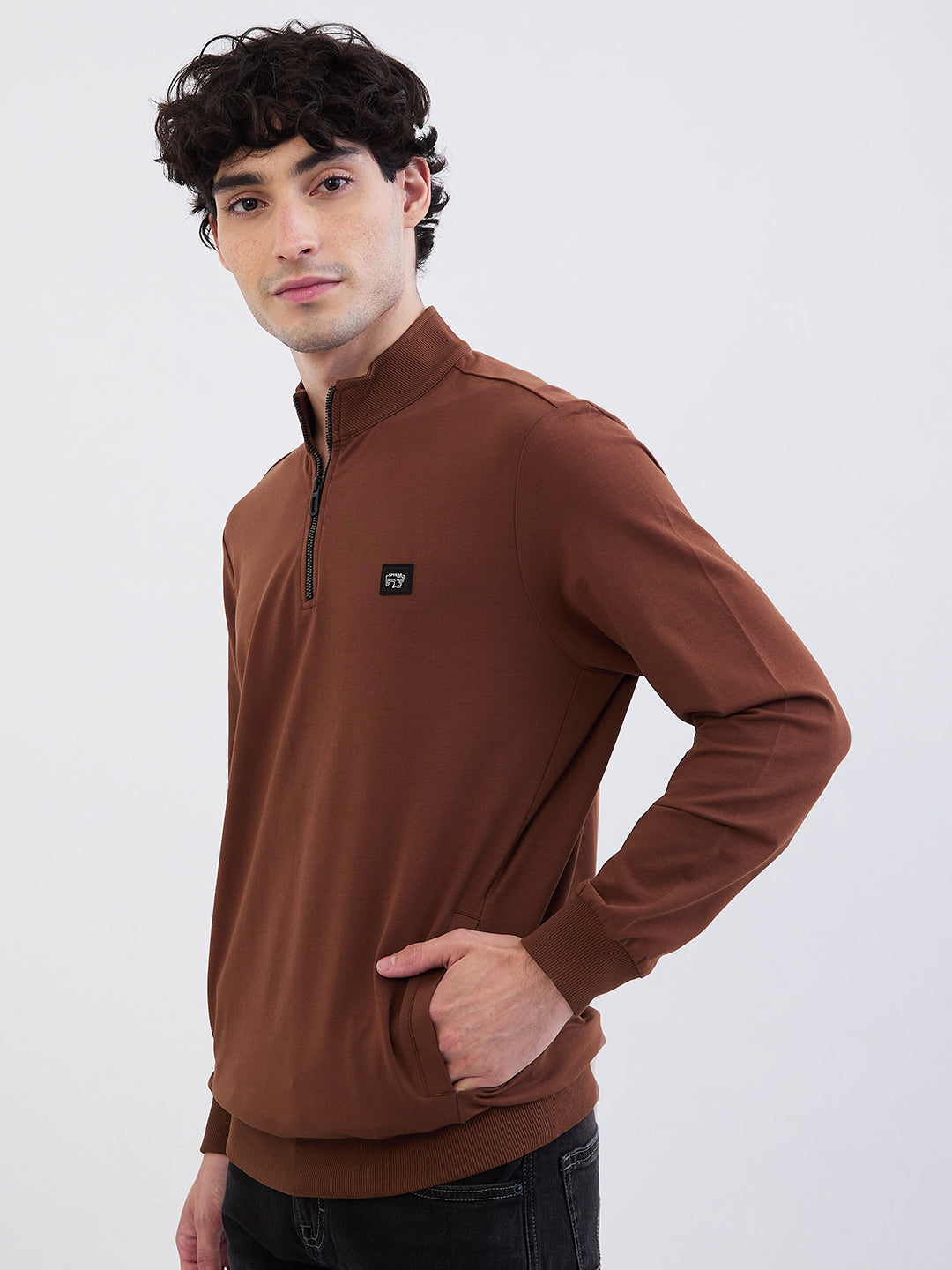 Men Sweatshirt Brown Regular Fit