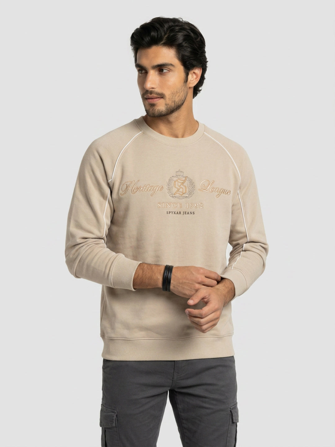Men Sweatshirt Beige Regular Fit