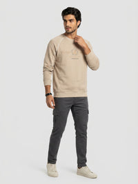 Men Sweatshirt Beige Regular Fit