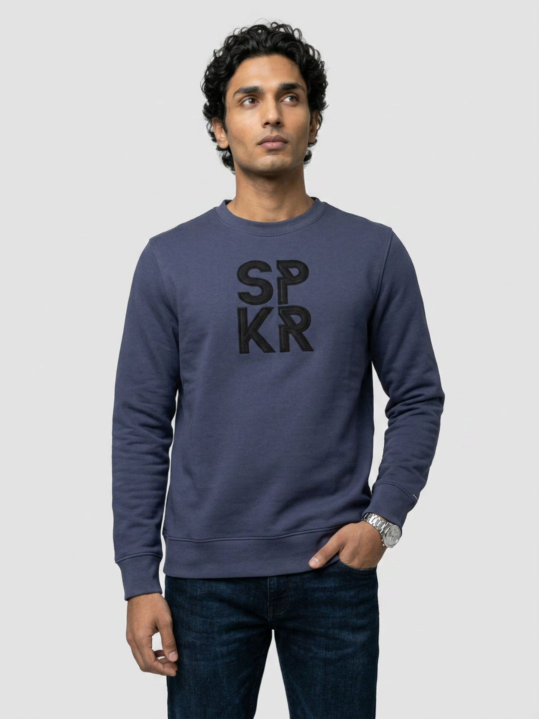 Men Sweatshirt Blue Regular Fit