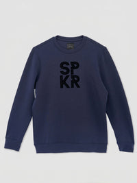 Men Sweatshirt Blue Regular Fit