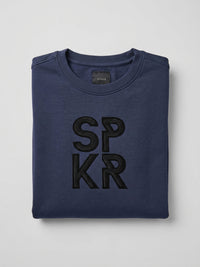 Men Sweatshirt Blue Regular Fit