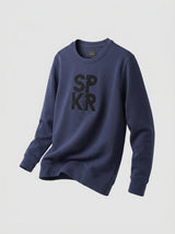 Men Sweatshirt Blue Regular Fit