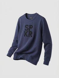 Men Sweatshirt Blue Regular Fit