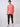 Men Cargo Regular Fit Grey Mid Rise