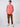 Men Cargo Regular Fit Brown Mid Rise