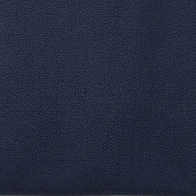 Men T-Shirt Graphic Navy Blue Regular Fit