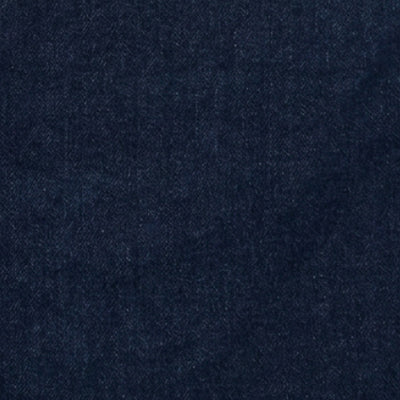 Men Ricardo Jeans Comfort Fit Blue Mid Rise
