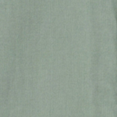 Men Shirt Solid Green Regular Fit