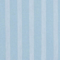 Men Shirt Stripe Blue Regular Fit