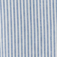 Men Shirt Stripe Blue Regular Fit