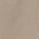 Men Shirt Solid Beige Regular Fit
