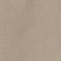 Men Shirt Solid Beige Regular Fit