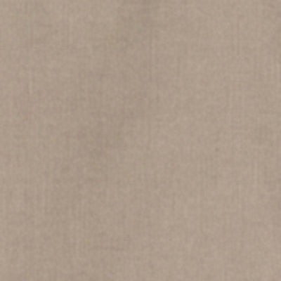 Men Shirt Solid Beige Regular Fit