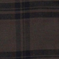 Men Shirt Check Brown Regular Fit