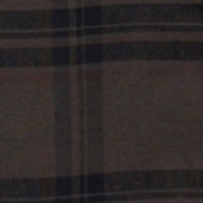 Men Shirt Check Brown Regular Fit
