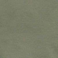 Men Trouser Regular Fit Green Mid Rise