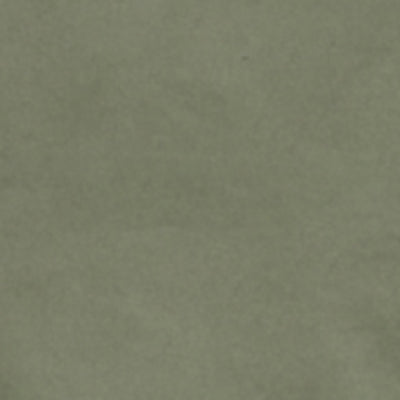 Men Trouser Regular Fit Green Mid Rise