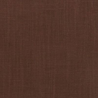 Women Shirt Solid Brown Regular Fit