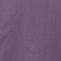 Men Shirt Solid Lilac Regular Fit