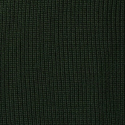 Men Sweater Green Regular Fit