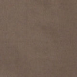 Men Shirt Solid Brown Regular Fit