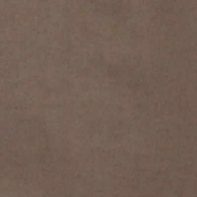 Men Shirt Solid Brown Regular Fit