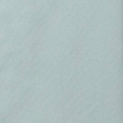 Men Shirt Solid Green Regular Fit