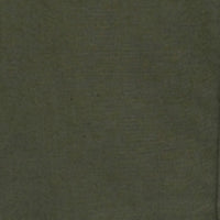 Men Shirt Solid Green Regular Fit