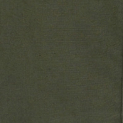 Men Shirt Solid Green Regular Fit