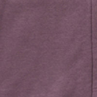 Men Sweatshirt Purple Regular Fit
