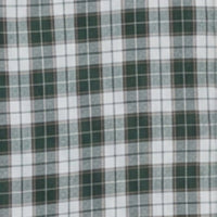 Men Shirt Check Green Regular Fit