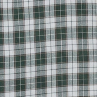 Men Shirt Check Green Regular Fit