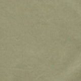Men Shirt Solid Green Regular Fit