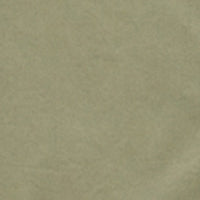 Men Shirt Solid Green Regular Fit