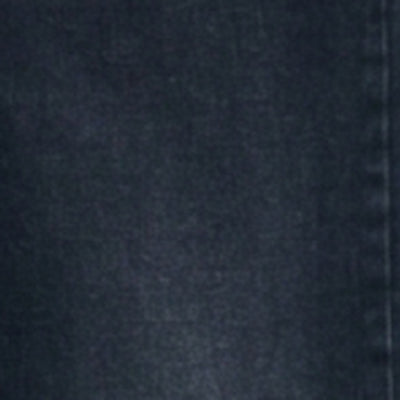 Men Ricardo Jeans Comfort Fit Blue Mid Rise