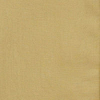 Men Shirt Solid Green Regular Fit