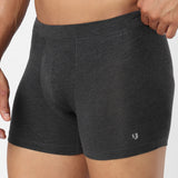 Underjeans Dark Grey Spandex Trunk