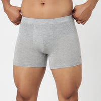 Underjeans Grey Spandex Trunk