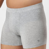 Underjeans Grey Spandex Trunk