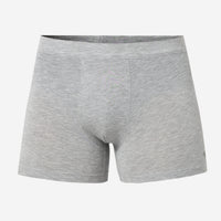Underjeans Grey Spandex Trunk