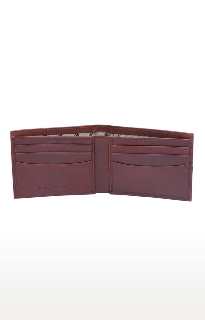 Spykar Men Brown Genuine Leather Wallet