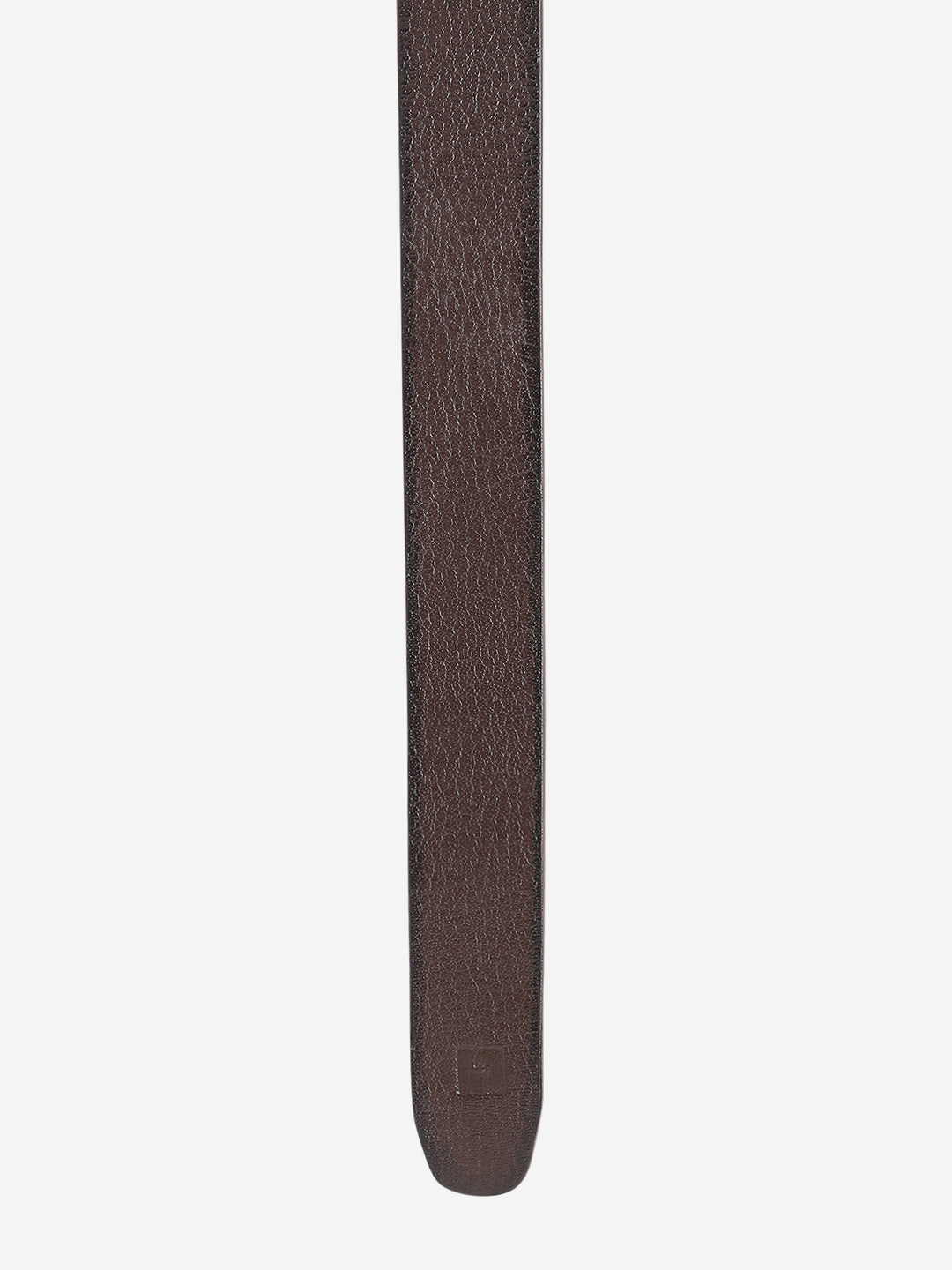 Spykar Men Brown Leather Belt