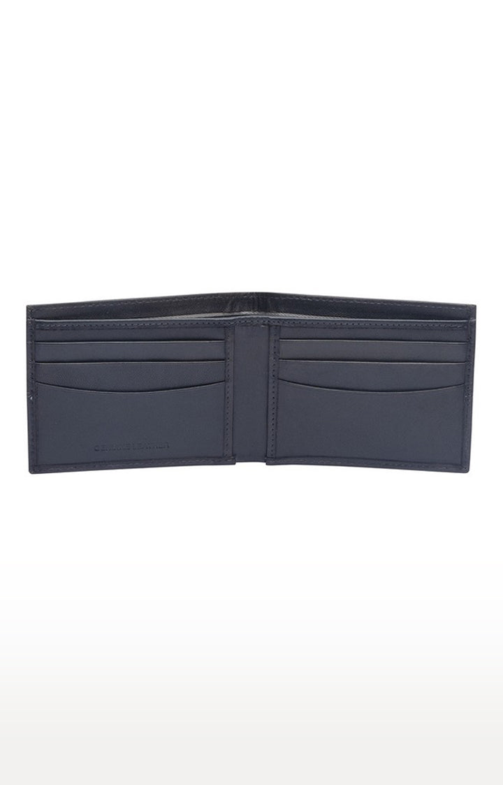 Spykar Men Grey Genuine Leather Wallet