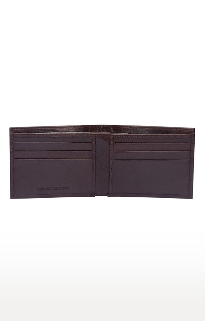 Spykar Men Brown Genuine Leather Wallet