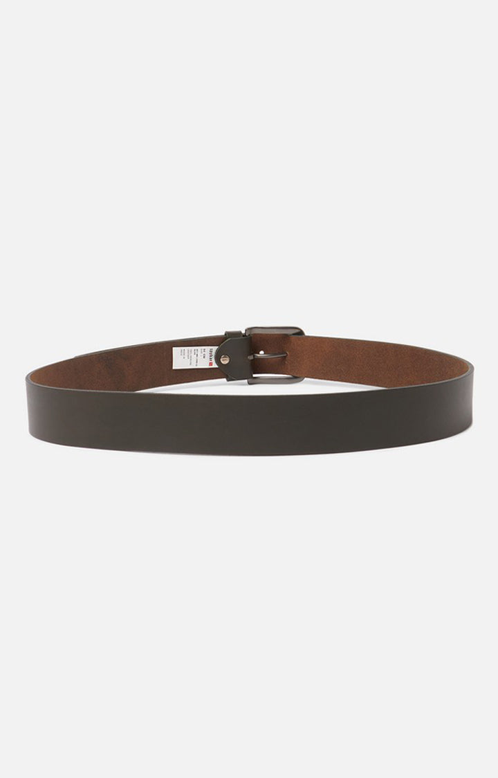 Spykar Olive Genuine Leather Belt