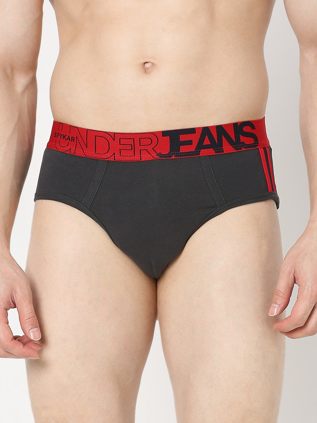 Underjeans by Spykar Men Premium Pack of 2 Navy-Grey Brief